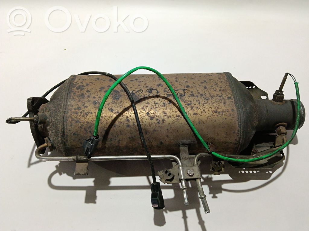 Land Rover Range Rover Sport L320 Filtr cząstek stałych Katalizator / FAP / DPF 