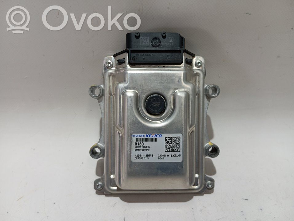 Engine control unit/module   429513DMB1