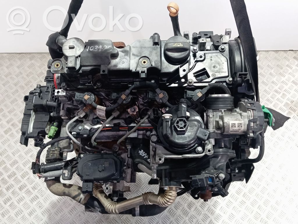 Motor   BH02
