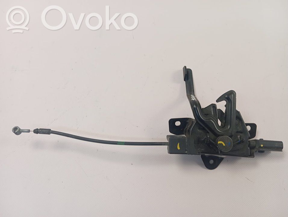 Tie down hook / loop   81130Q0400
