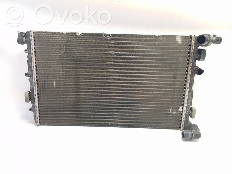 Seat Ibiza III (6L) Radiatore di raffreddamento
