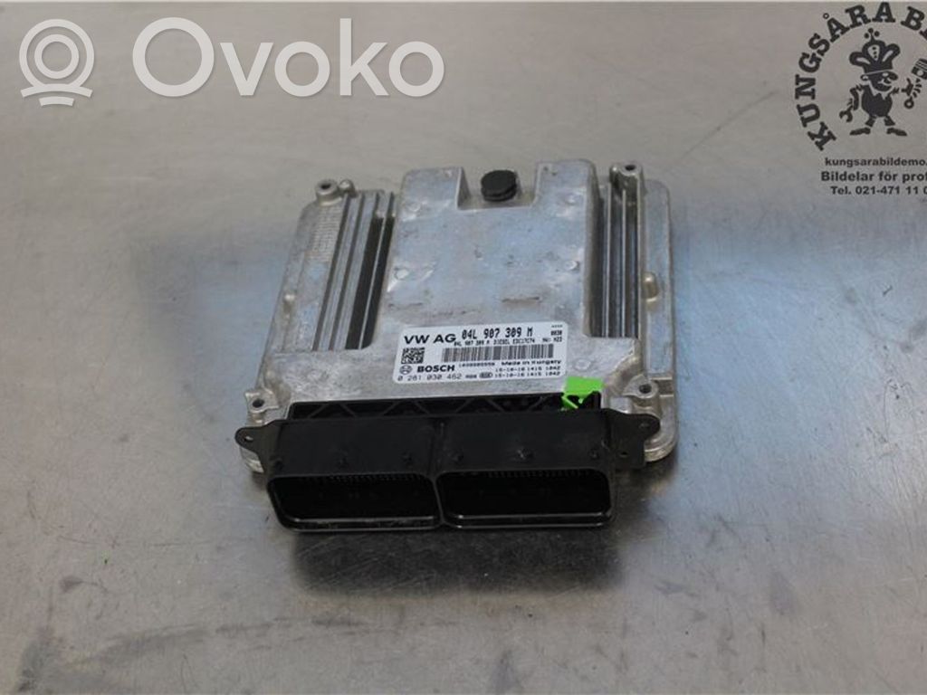 Engine control unit/module   0281030462,04L906026FP,04L906026FN,04L906026DS,04L906026DS3G0,04L906026FM,04L906026FM3V0,04L906026FQ,04L906026FT,04L906026GA,04L906026MT,04L907309M