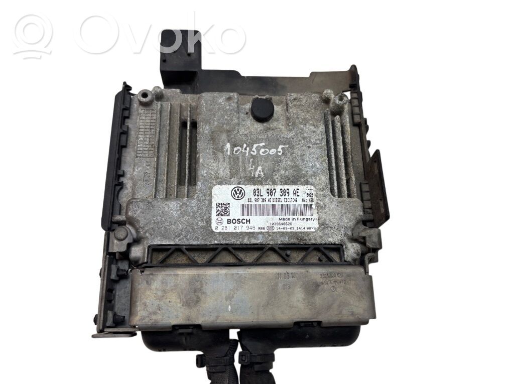 Engine control unit/module   0281016374,03L906018BG,03L907309N,0281017946,03L906018BD,03L906018BF,03L906018BN,03L906018BN360,03L906018FQ,03L906018NC,03L906018PA,03L906018PR,03L906018RE,03L906018RE360,03L907309AE