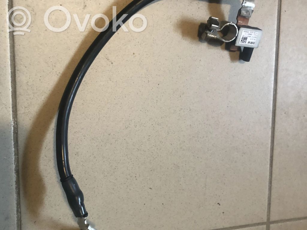 BMW 1 F40 Minusinis laidas (akumuliatoriaus) 