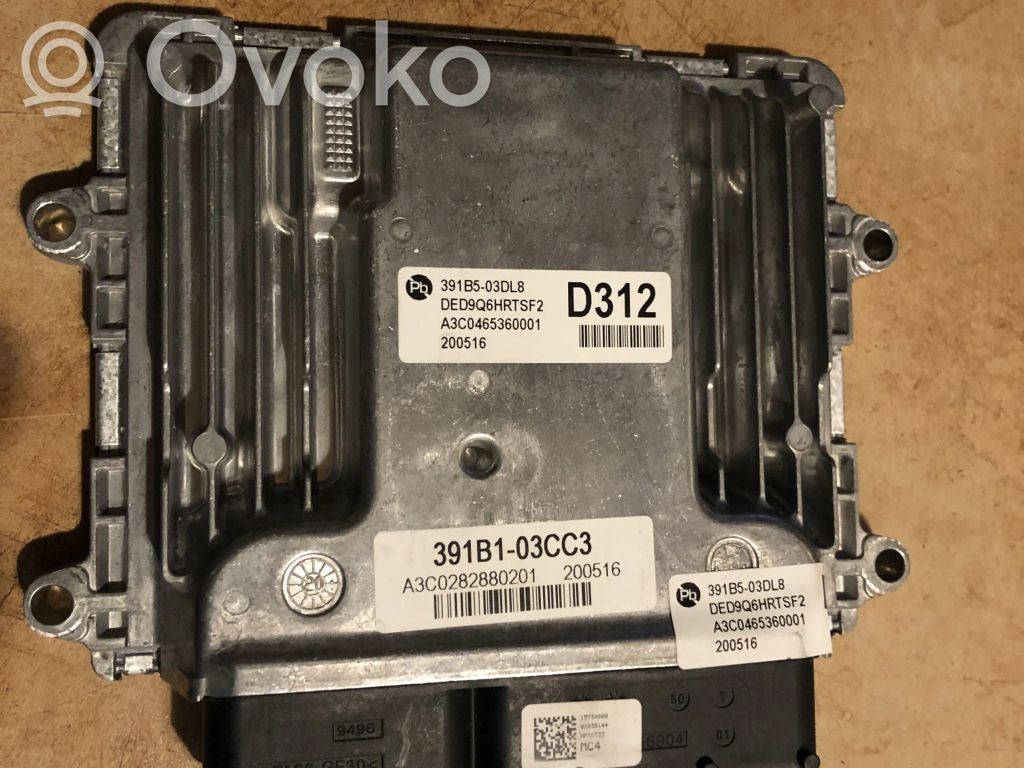 Engine control unit/module   391B503DL8,391B103CC3