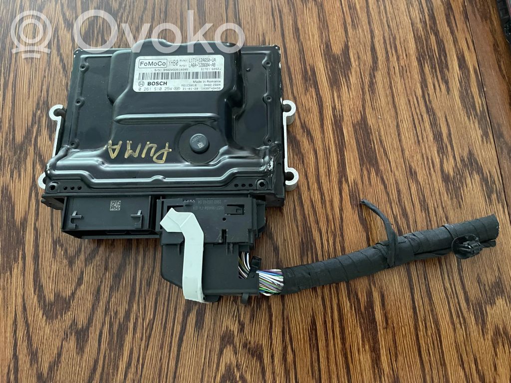 Ford Puma Engine control unit/module 