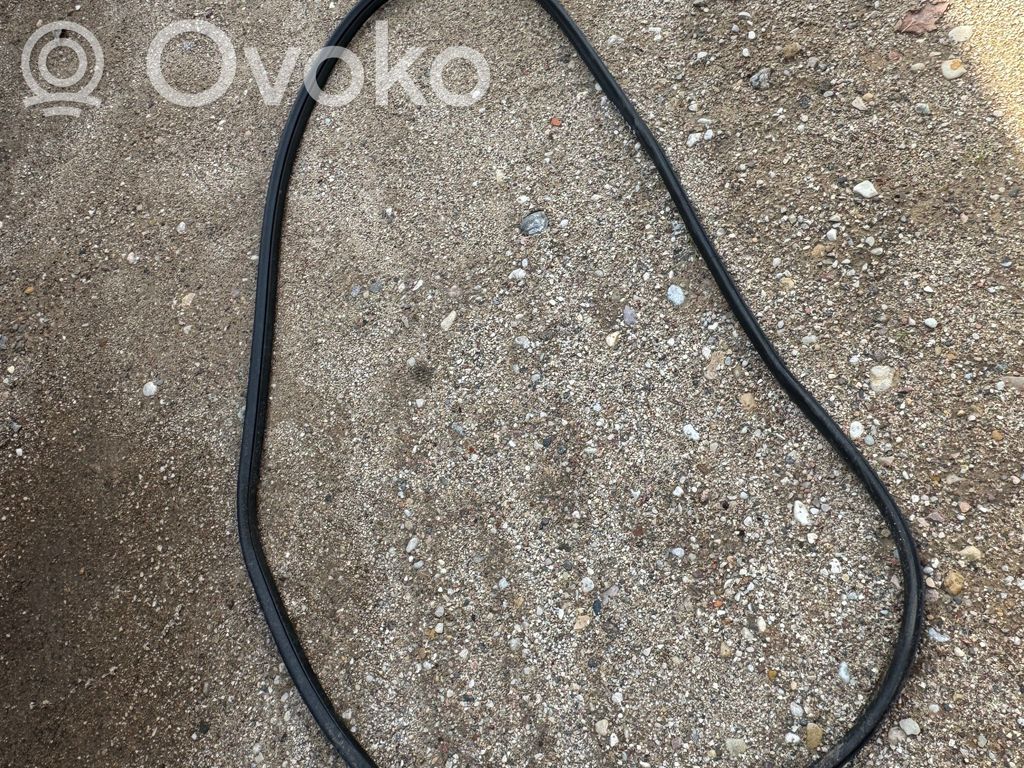 Nissan Ariya Priekšpusē apdares gumija (virsbūvē) 