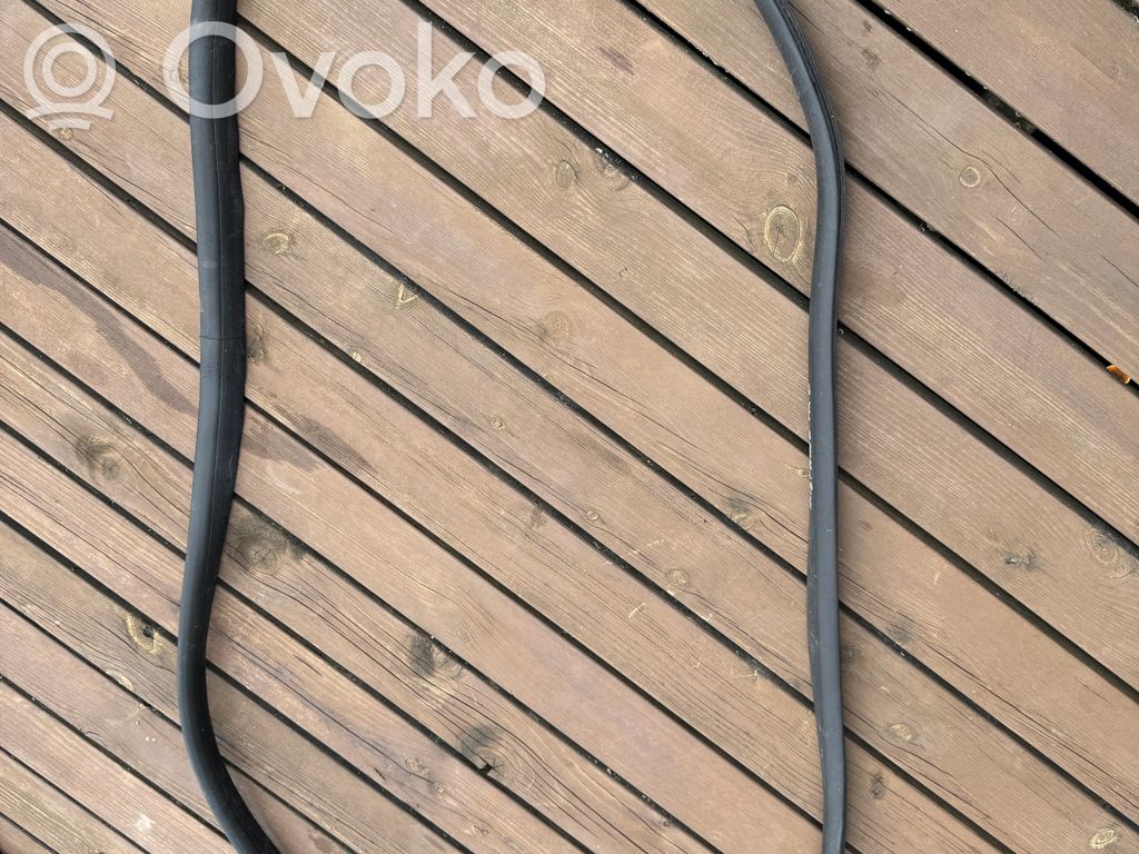 Renault Austral Front door rubber seal 