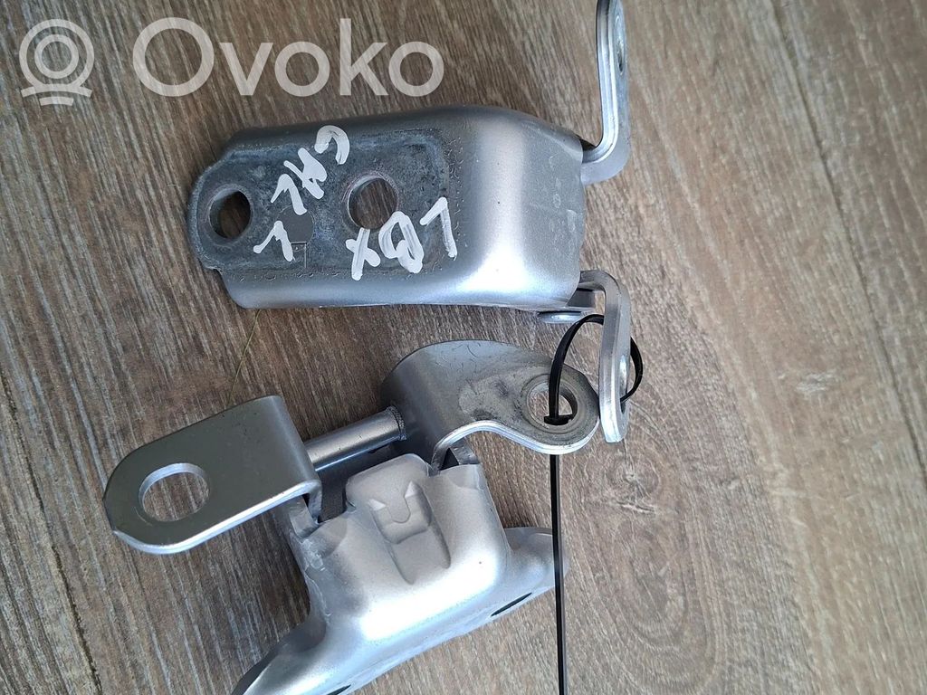 Rear door hinge set   FDC