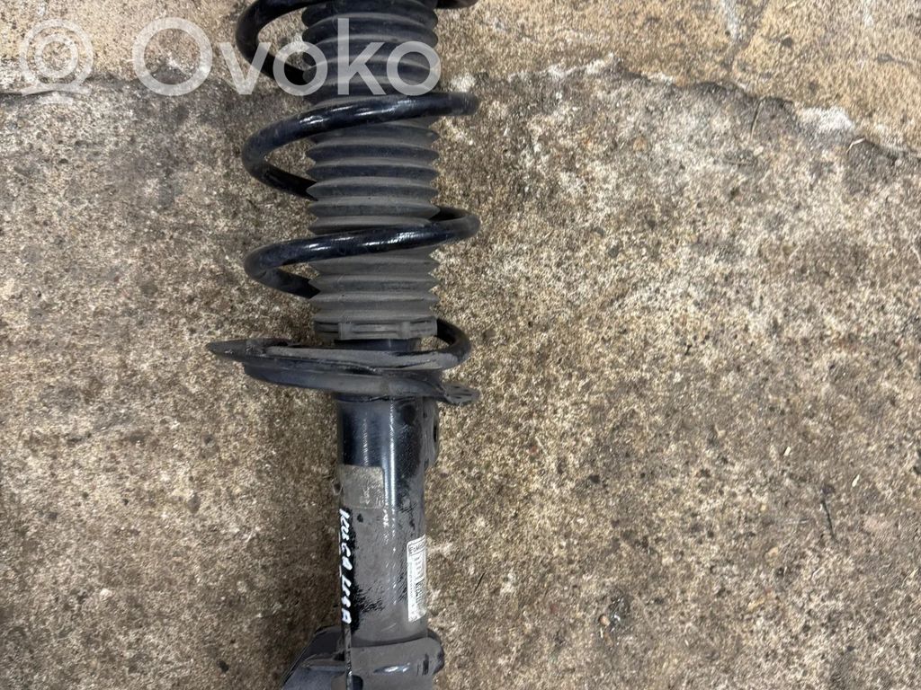 Amortyzator przedni   LX6118045NAD