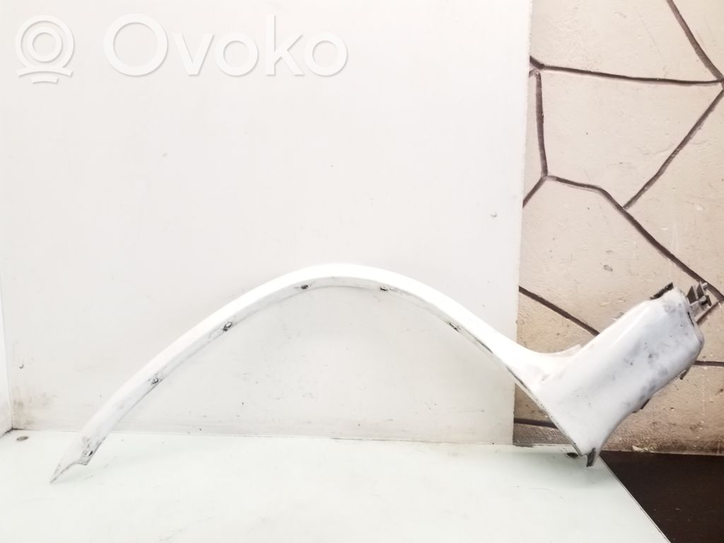 BMW X5 E53 Fender trim (molding) 