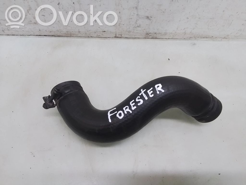 Engine coolant pipe/hose