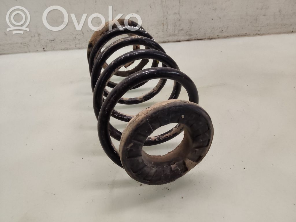 Rear coil spring
