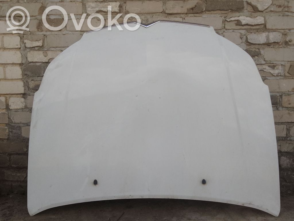 Dangtis variklio (kapotas)