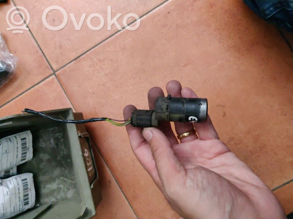Parksensor PDC   602400,6911904