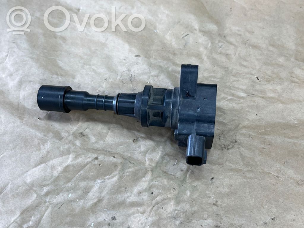 Aukštos įtampos ritė "babyna"   LFB618100
