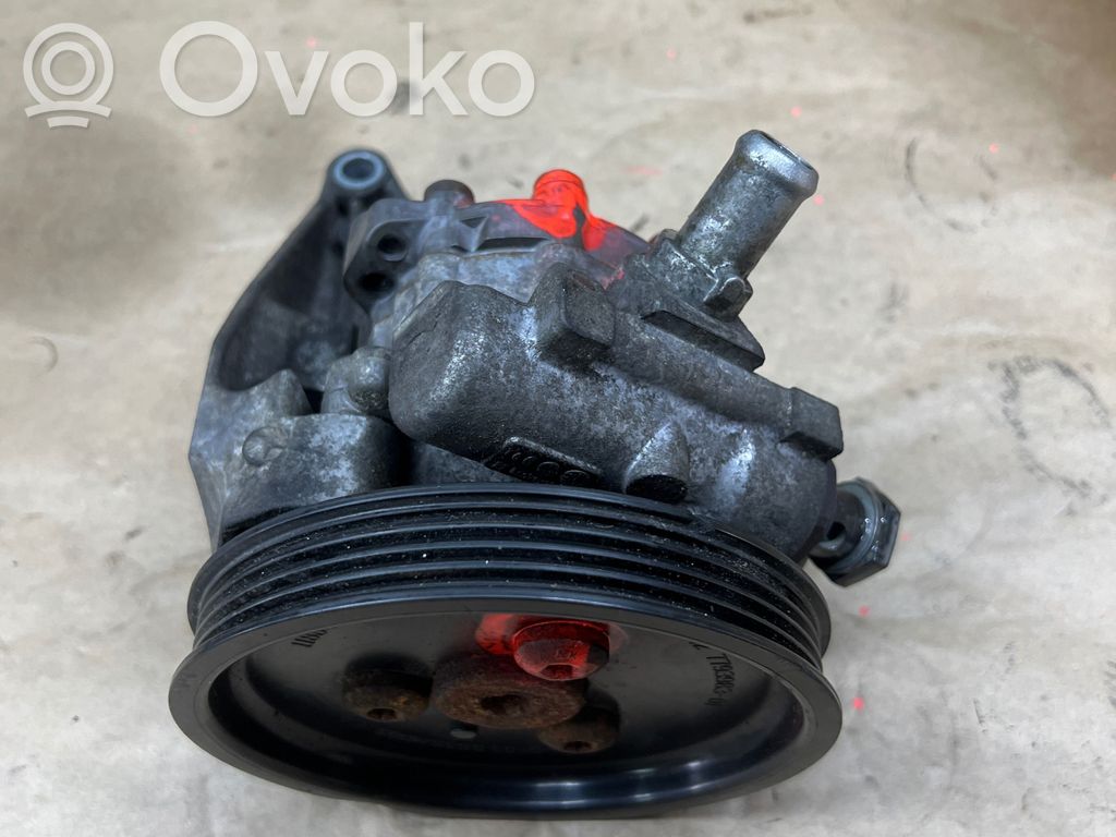Power steering pump   7693974118,676816902L,217071366F