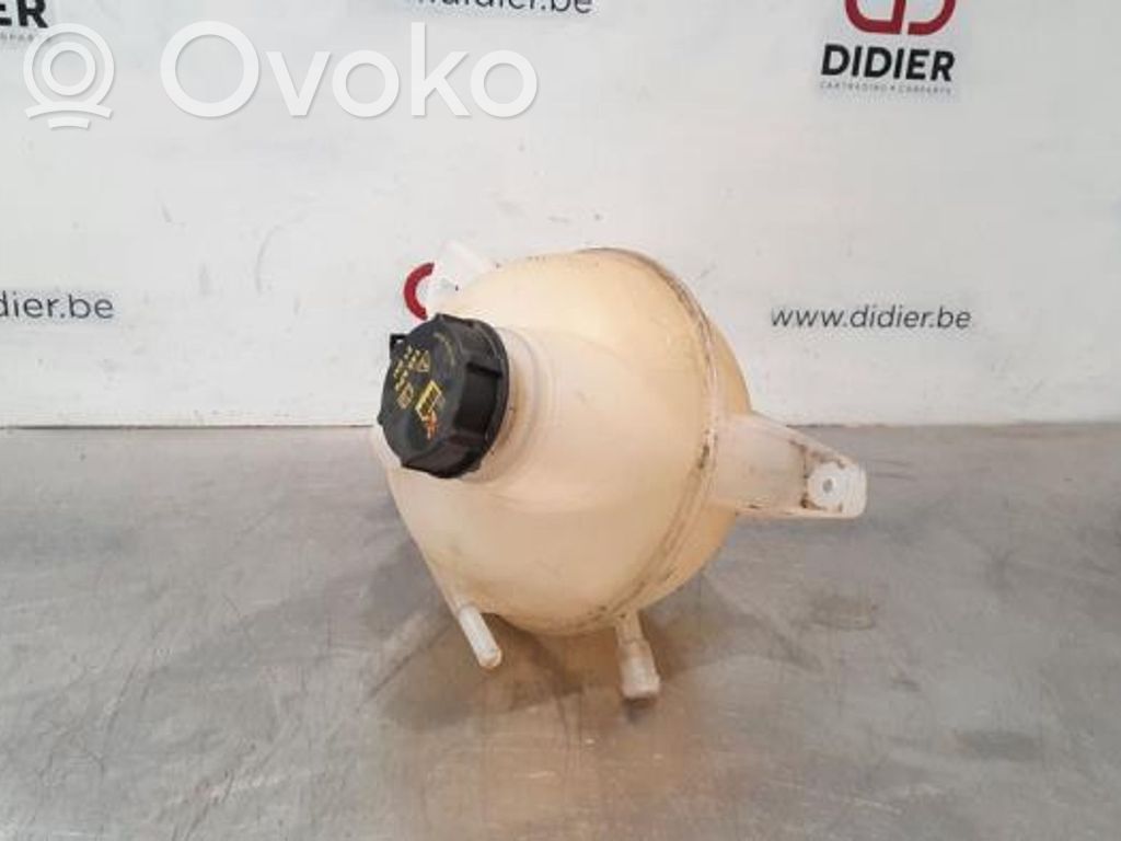 Ford Tourneo Custom Aušinimo skysčio išsiplėtimo bakelis 