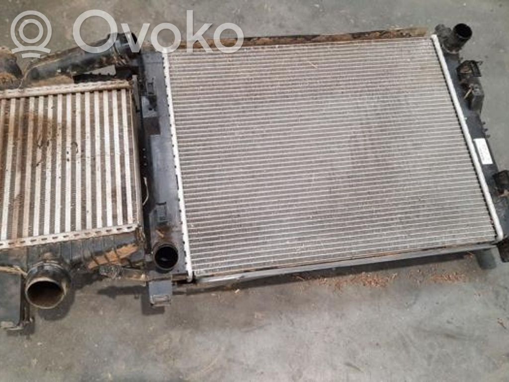 Set radiatoare   144961381R,214100078R,921006454R