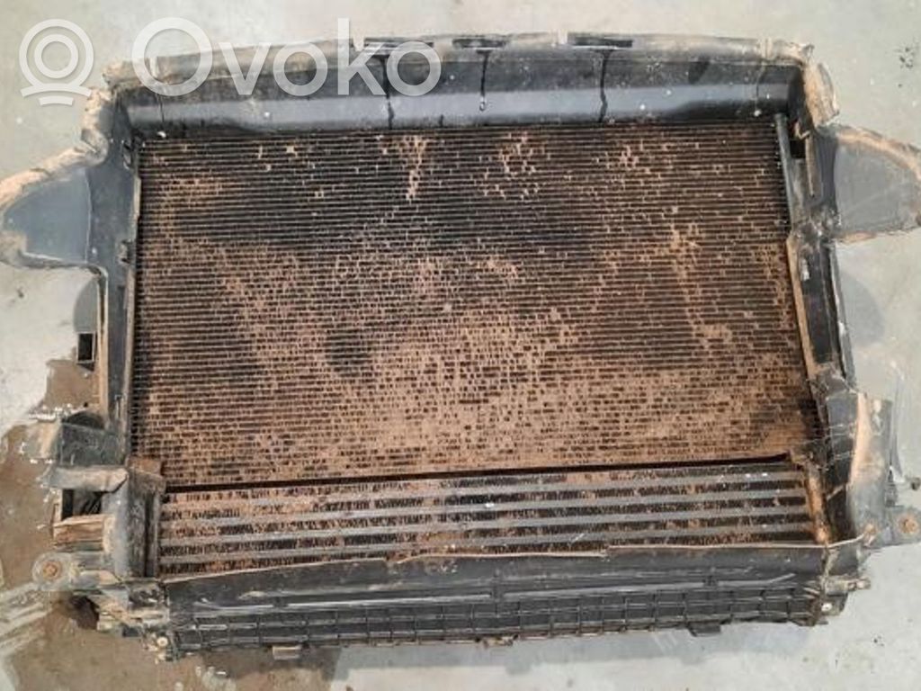 Radiator set   51966750,52009102,8C6170100