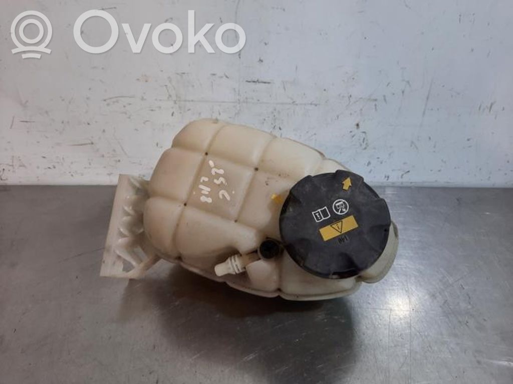 BMW 1 F20 F21 Vas expansiune/rezervor lichid de răcire