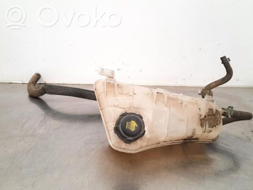 Renault Kangoo II Vas expansiune/rezervor lichid de răcire 
