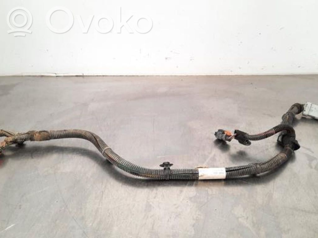 Peugeot Expert Otros cableados 