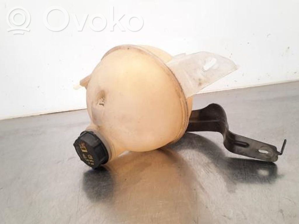Ford Transit Custom Aušinimo skysčio išsiplėtimo bakelis 
