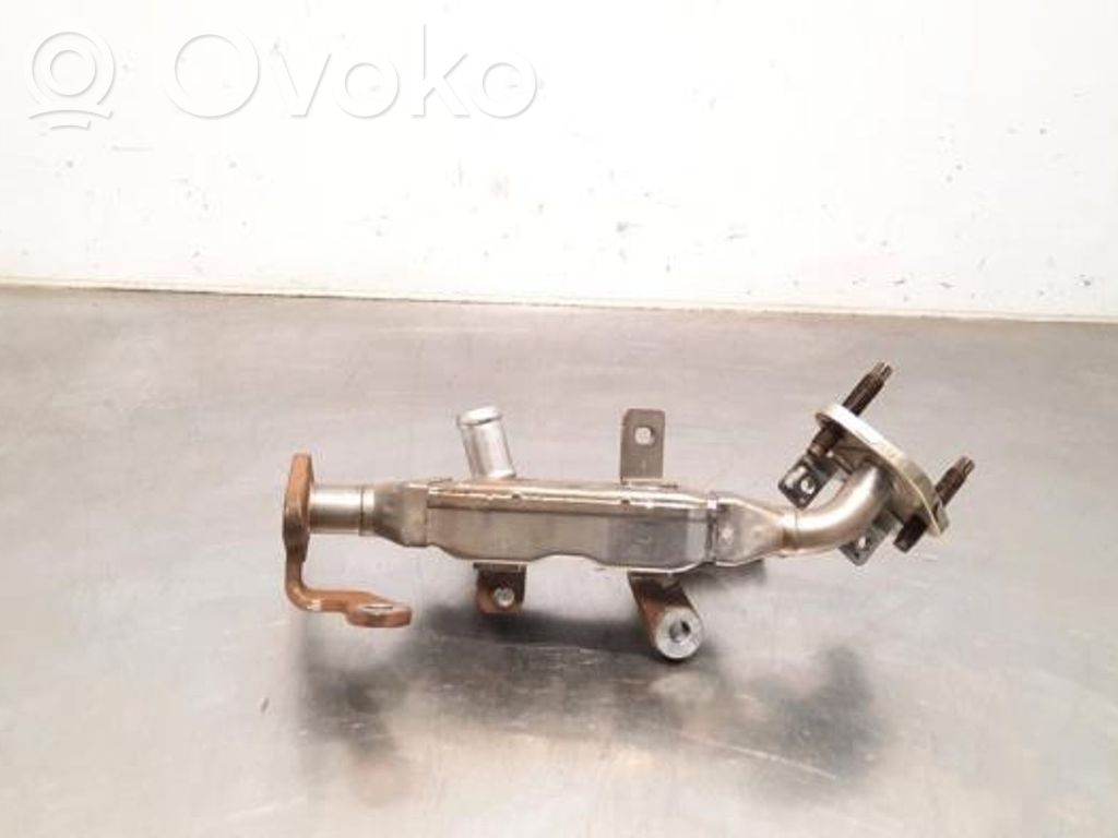 Renault Clio V Răcitor supapă EGR 