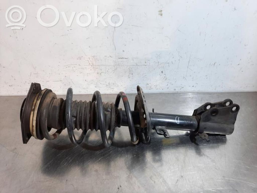 Stoßdämpfer vorne   543029762R,543029762R