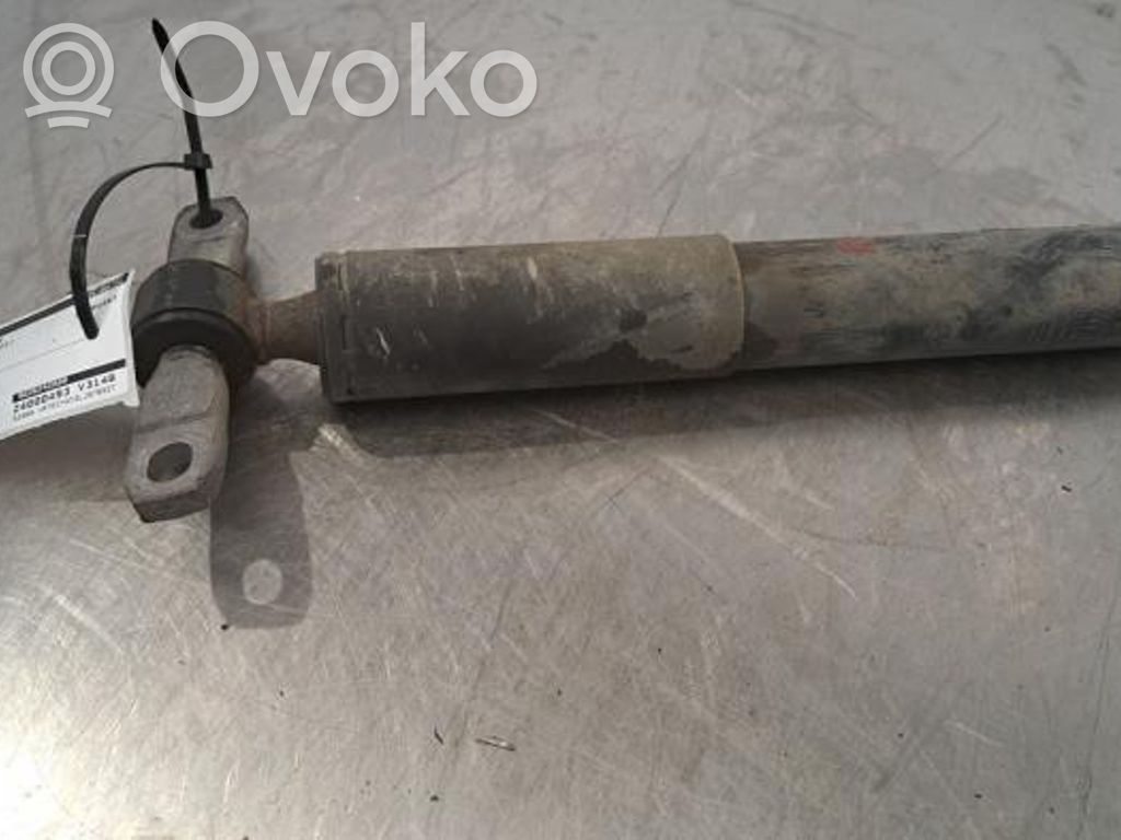 Citroen Berlingo Amortizor spate 