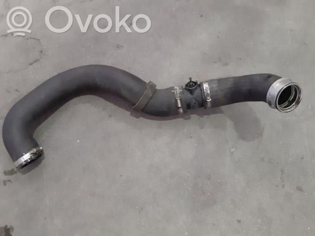 Volkswagen Transporter - Caravelle T6 Tubo flessibile intercooler