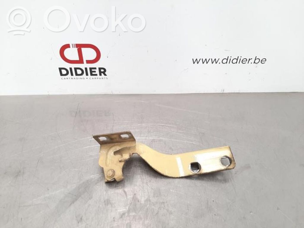 Citroen Jumper Engine bonnet/hood hinges 