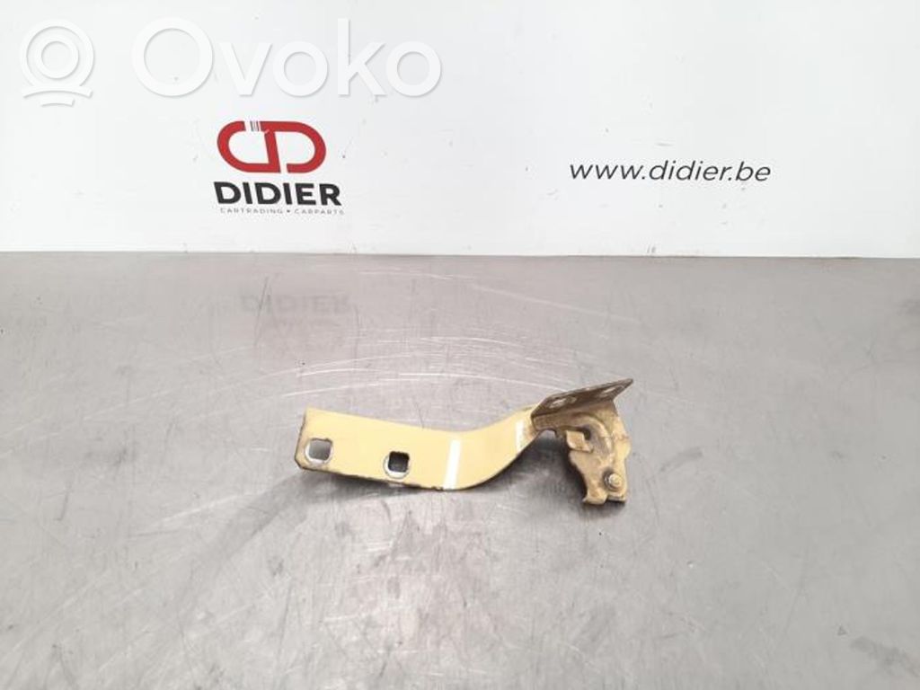 Citroen Jumper Engine bonnet/hood hinges 