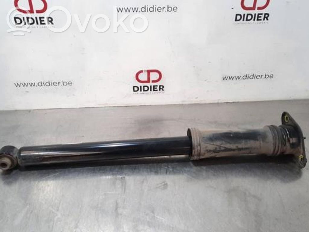 Stoßdämpfer hinten   55311D4360
