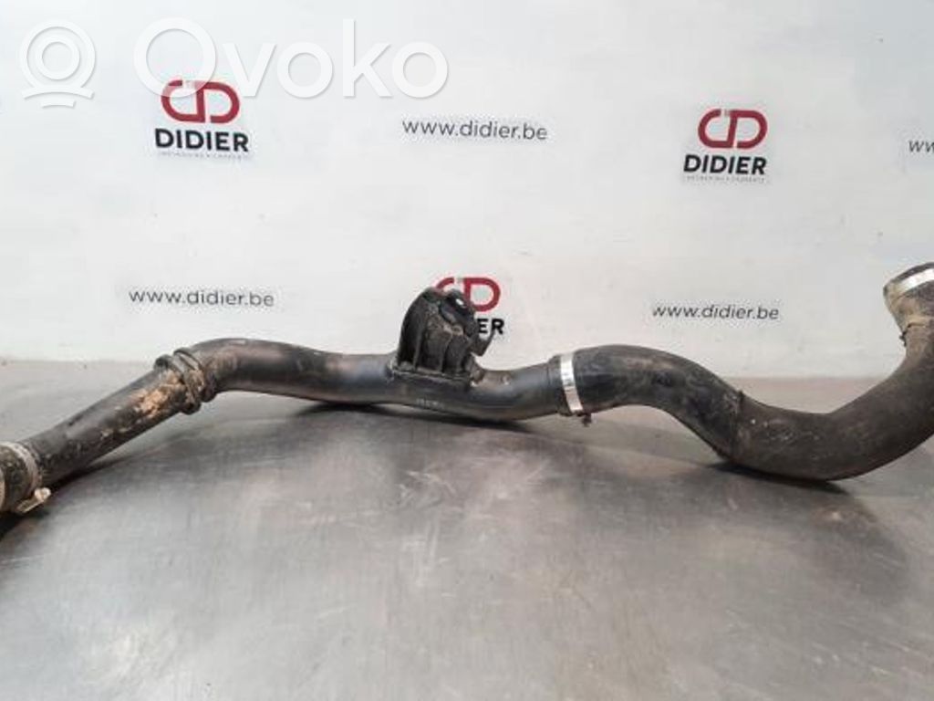 Intercooler hose/pipe   CK216C646A