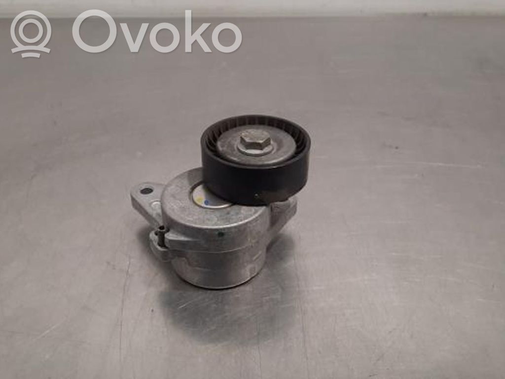 Skoda Kodiaq Întinzător curea alternator 