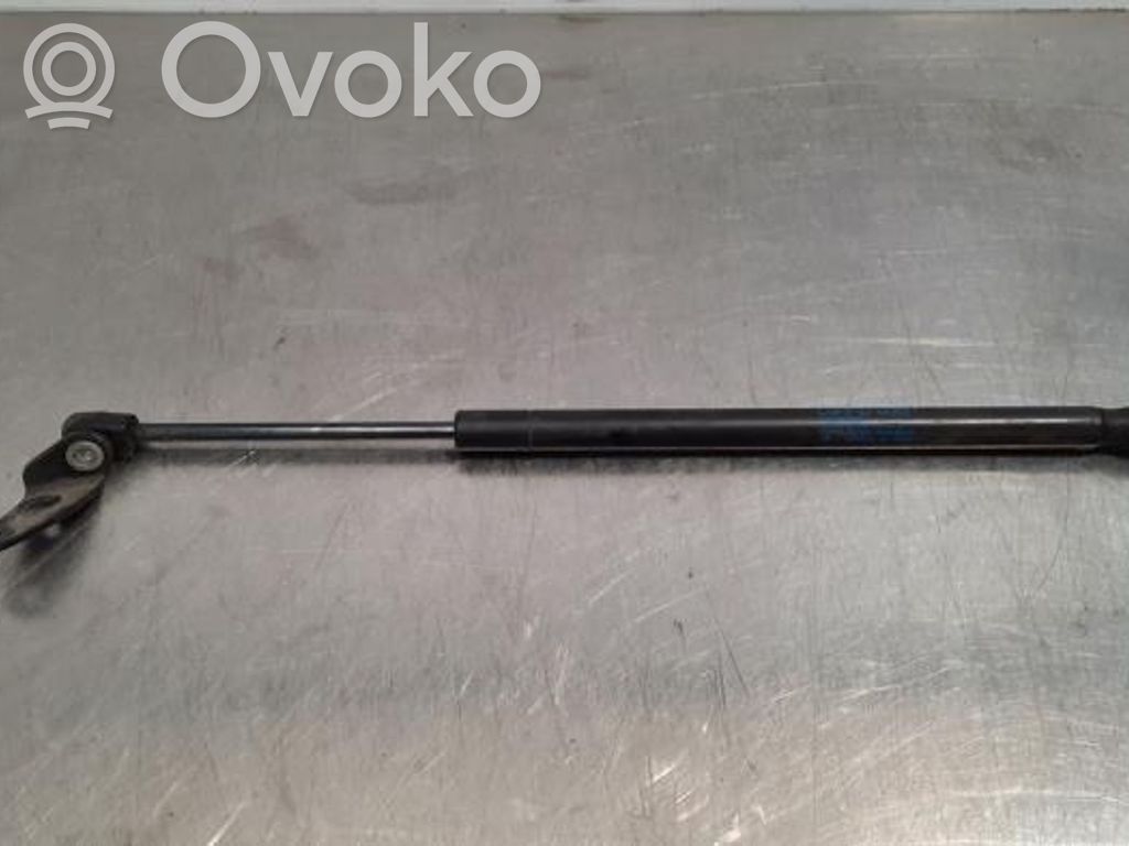 Tesla Model S Vérin, capot-moteur