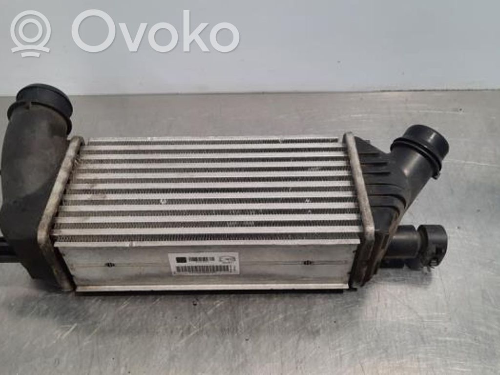 Peugeot Expert Interkūlerio radiatorius 
