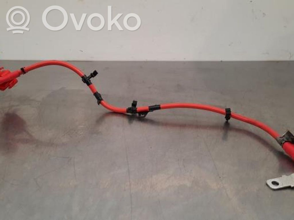 Jaguar F-Pace Cavo negativo messa a terra (batteria)