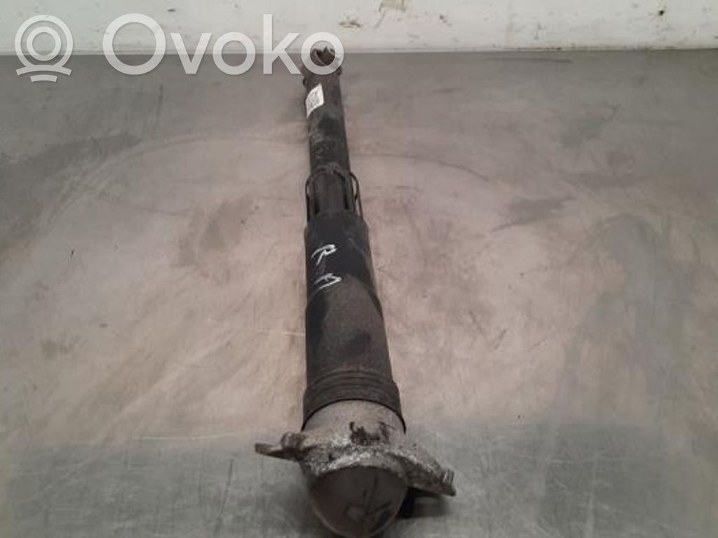 Volkswagen Tiguan Stoßdämpfer hinten 