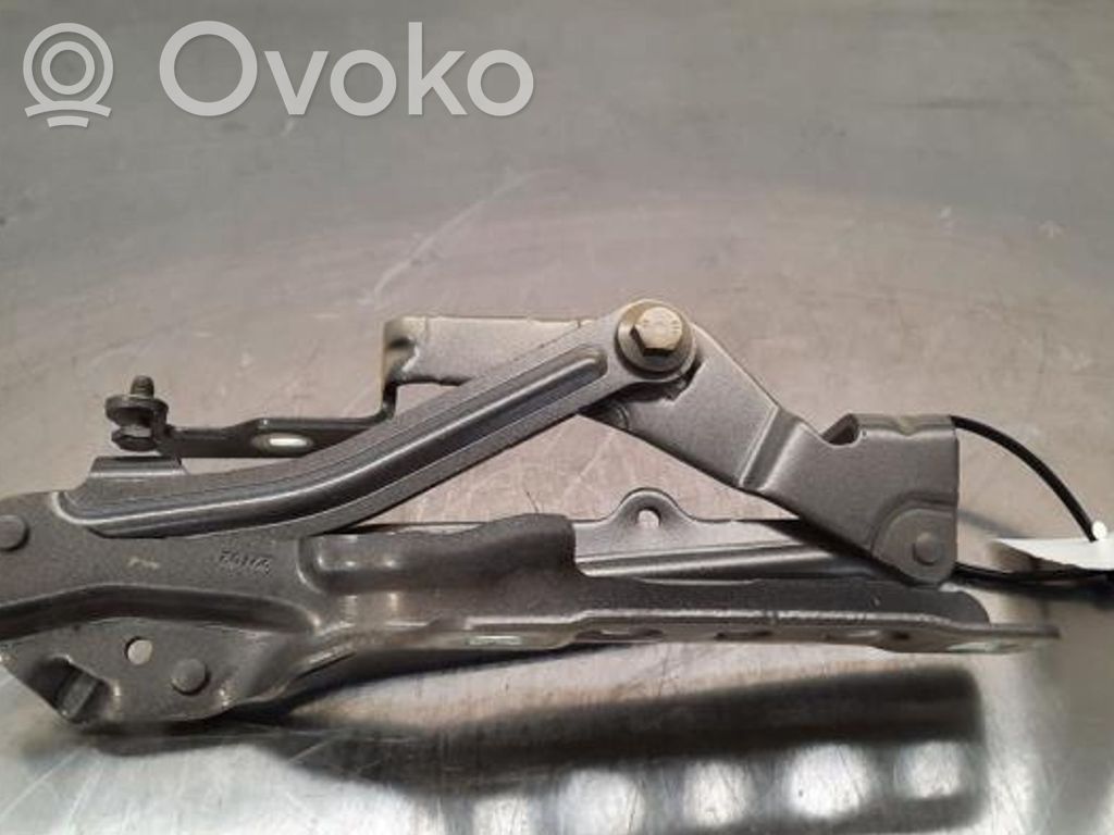 Peugeot 5008 Cerniere del vano motore/cofano