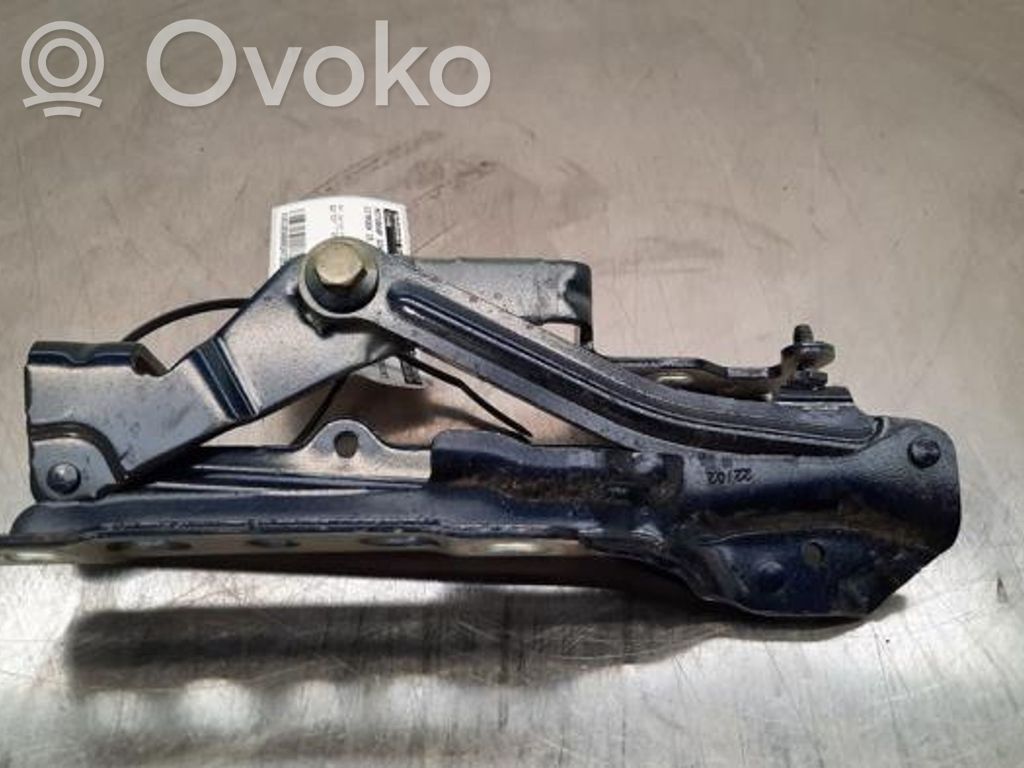 Citroen C5 Aircross Balamale capotă 