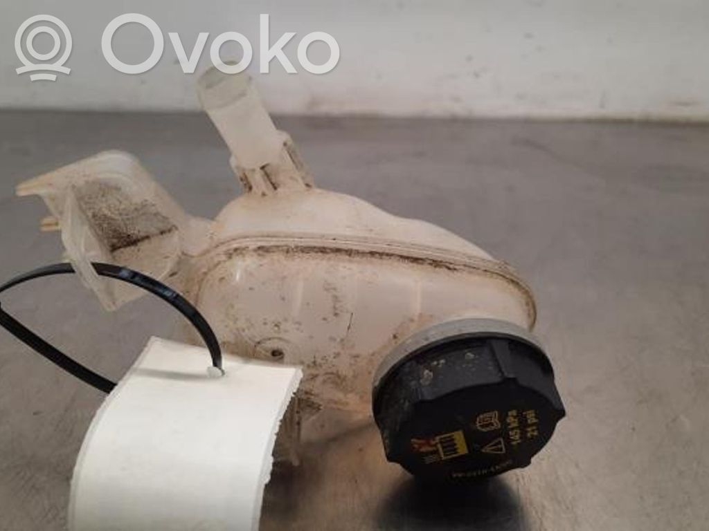 Ford Focus Aušinimo skysčio išsiplėtimo bakelis 