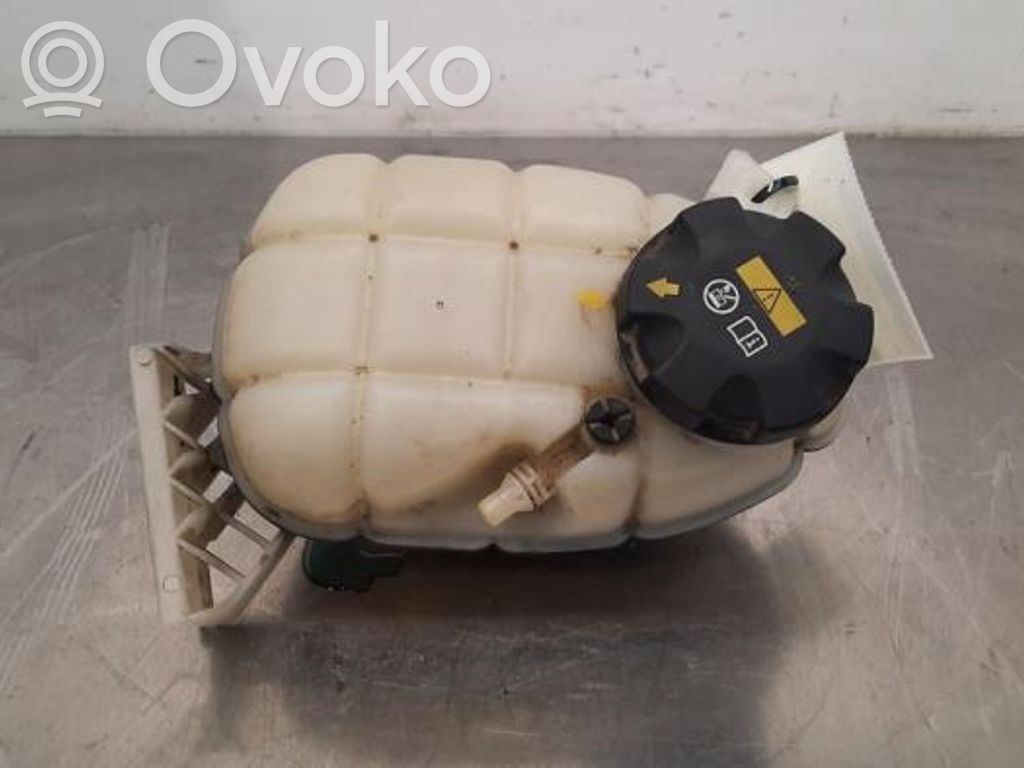 BMW 3 F30 F35 F31 Vas expansiune/rezervor lichid de răcire