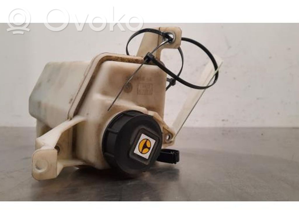 Peugeot Boxer Serbatoio/vaschetta del liquido del servosterzo