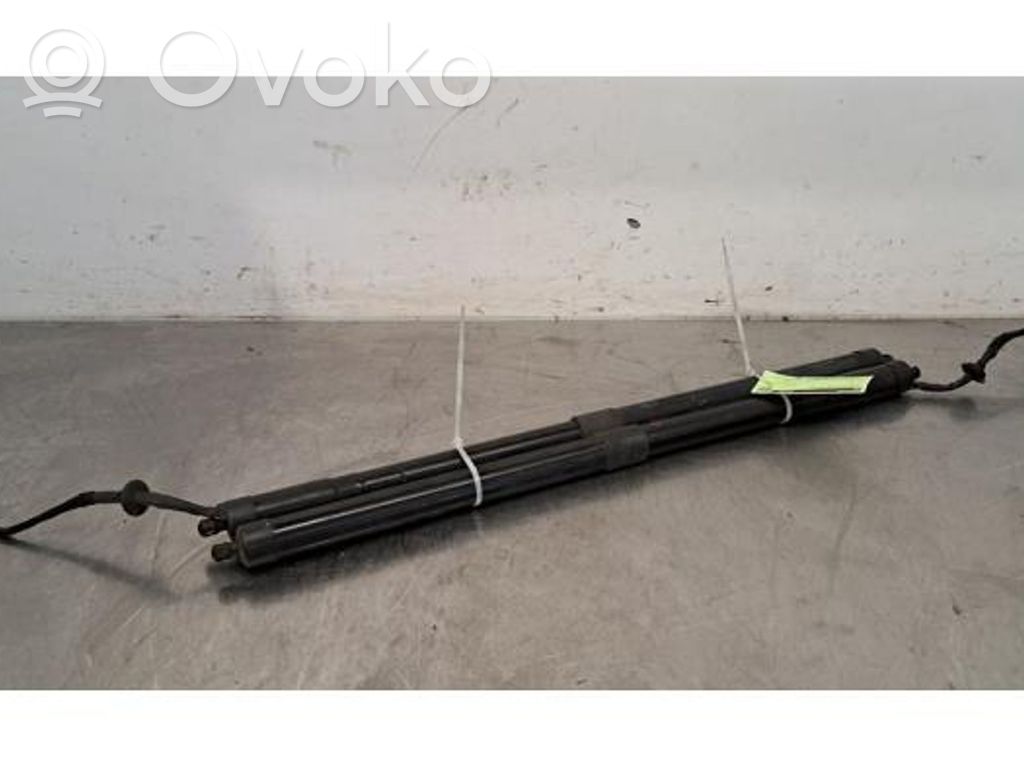 Land Rover Range Rover Sport L494 Ammortizzatore portellone posteriore/bagagliaio 