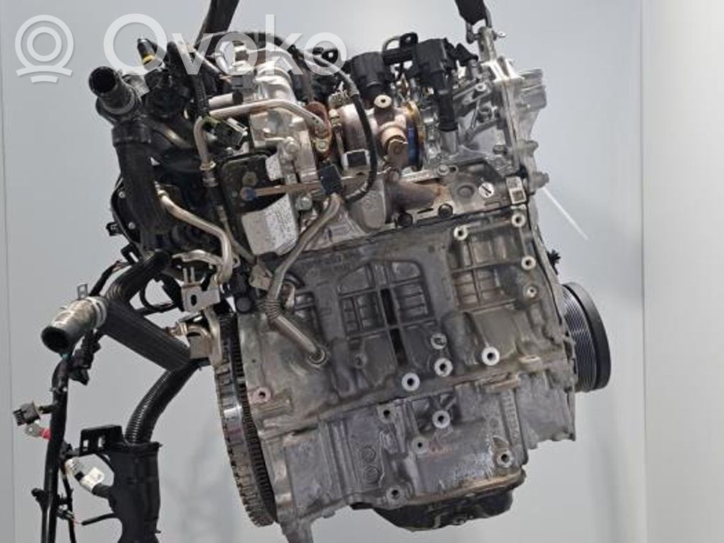 Renault Arkana Variklis 