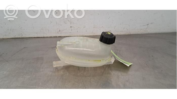 Renault Arkana Vas expansiune/rezervor lichid de răcire