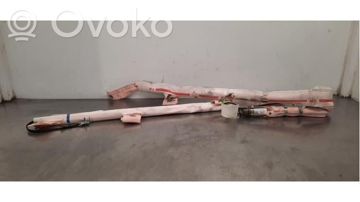 Airbag del techo   100526200H,100526200H